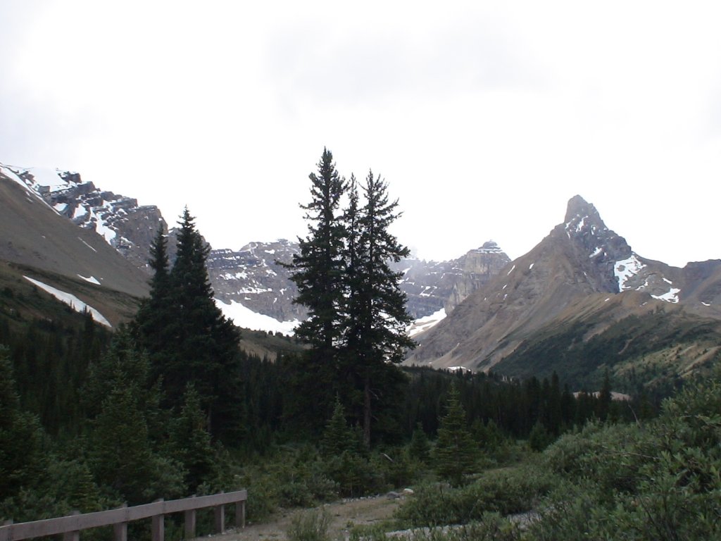 dsc00069.jpg